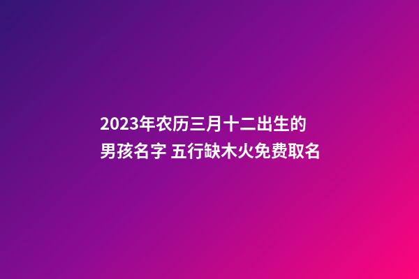2023年农历三月十二出生的男孩名字 五行缺木火免费取名